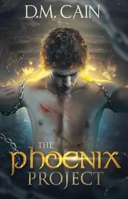 Projekt Fénix - The Phoenix Project