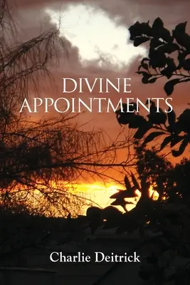 Božské menovania - Divine Appointments