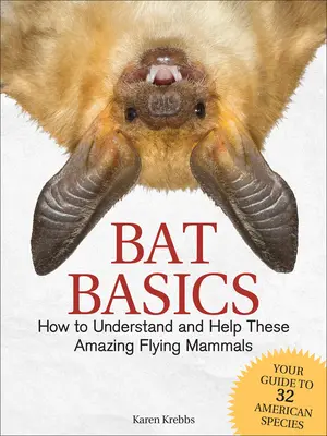 Základy netopierov: Ako pochopiť a pomôcť týmto úžasným lietajúcim cicavcom - Bat Basics: How to Understand and Help These Amazing Flying Mammals