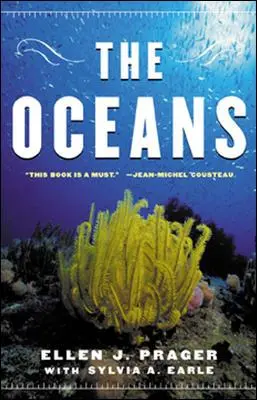 Oceány - The Oceans