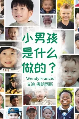 Z čoho sú malí chlapci? (čínske jazykové vydanie) - What are little boys made of? (Chinese Language Edition)