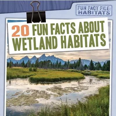 20 zábavných faktov o mokraďových biotopoch - 20 Fun Facts about Wetland Habitats