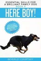 Tu chlapec! Ako naučiť svojho geniálneho rodinného psa úžasnému odvolaniu krok za krokom - Here Boy!: Step-by-Step to a Stunning Recall from your Brilliant Family Dog