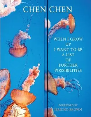 Keď vyrastiem, chcem byť zoznamom ďalších možností - When I Grow Up I Want to Be a List of Further Possibilities