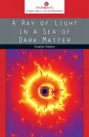 Lúč svetla v mori temnej hmoty - A Ray of Light in a Sea of Dark Matter