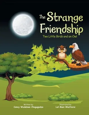 Podivné priateľstvo: Dva vtáčiky a sova - The Strange Friendship: Two Little Birds and an Owl