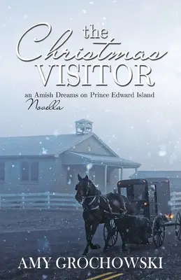 Vianočný návštevník - The Christmas Visitor