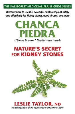 Chanca Piedra: tajomstvo prírody pri obličkových kameňoch - Chanca Piedra: Nature's Secret for Kidney Stones