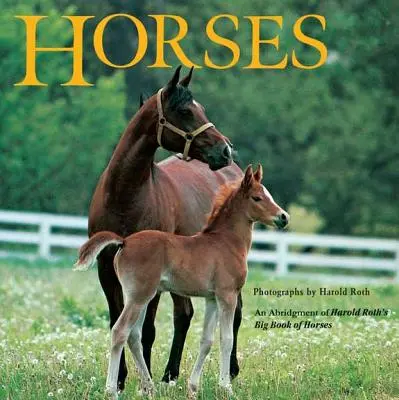 Kone: Veľká kniha o koňoch Harolda Rotha - Horses: An Abridgement of Harold Roth's Big Book of Horses
