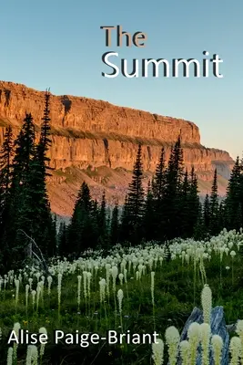 Summit - The Summit