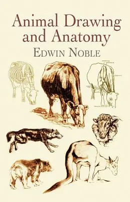 Kreslenie a anatómia zvierat - Animal Drawing and Anatomy