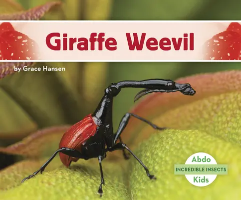 Žirafí chvostoskok - Giraffe Weevil