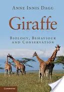 Žirafa - Giraffe