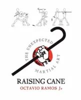 Raising Cane - Nečakané bojové umenie - Raising Cane - The Unexpected Martial Art
