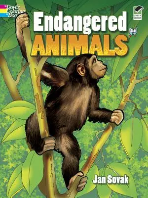 Omaľovánky ohrozených zvierat - Endangered Animals Coloring Book