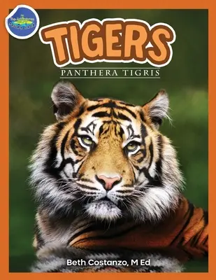 Tigre, Panthera Tigris vo veku 2-4 rokov - Tigers, Panthera Tigris ages 2-4