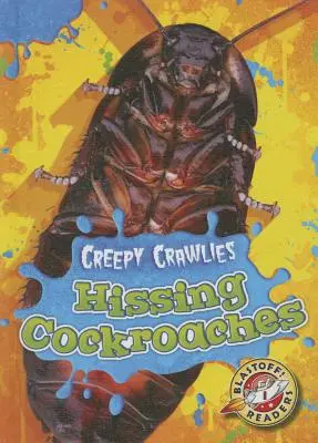 Syčiace šváby - Hissing Cockroaches