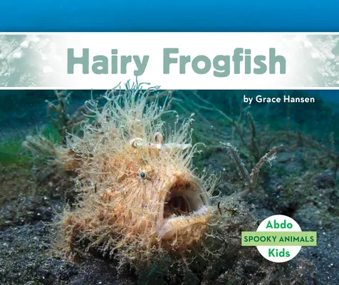 Chlpaté žabky - Hairy Frogfish