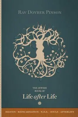 Kniha o živote po živote - The Book of Life After Life