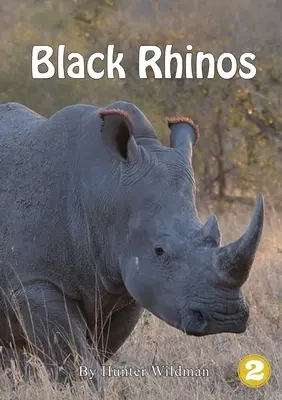 Čierni nosorožci - Black Rhinos