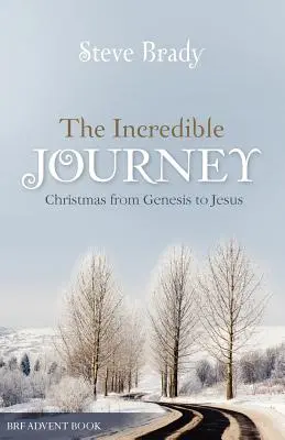 Neuveriteľná cesta - The Incredible Journey