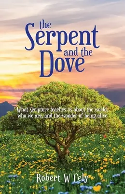 Had a holubica: a holubica: Čo nás Písmo učí o svete, o tom, kto sme, a o zázraku, že žijeme - The Serpent and the Dove: What Scripture teaches us about the world, who we are, and the wonder of being alive