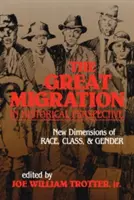 Veľká migrácia v historickej perspektíve: Nové dimenzie rasy, triedy a pohlavia - The Great Migration in Historical Perspective: New Dimensions of Race, Class, and Gender