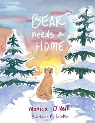 Medveď potrebuje domov - Bear Needs A Home