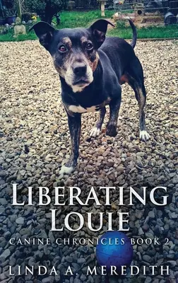 Oslobodenie Louieho: Cesta do Rutlandu - Liberating Louie: The Road To Rutland