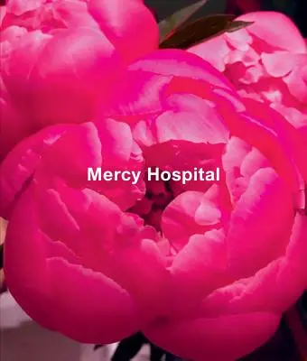 Ida Applebroogová: Nemocnica milosrdenstva - Ida Applebroog: Mercy Hospital