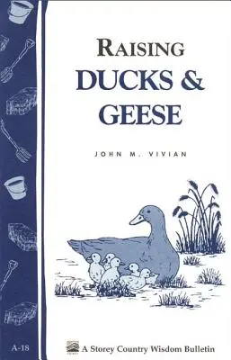 Chov kačíc a husí: Storey's Country Wisdom Bulletin A-18 - Raising Ducks & Geese: Storey's Country Wisdom Bulletin A-18