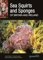 Morské perličky a morské huby Británie a Írska - Sea Squirts and Sea Sponges of Britain and Ireland