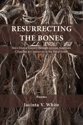 Vzkriesenie kostí: Zrodené z cesty po afroamerických kostoloch a cintorínoch na vidieckom Juhu - Resurrecting the Bones: Born from a Journey through African American Churches & Cemeteries in the Rural South