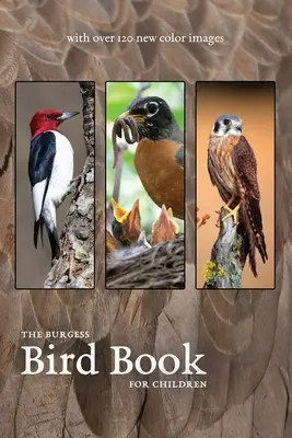 Burgessova kniha o vtákoch s novými farebnými obrázkami - The Burgess Bird Book with new color images