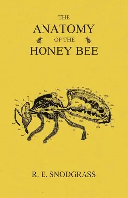 Anatómia včely medonosnej - The Anatomy of the Honey Bee