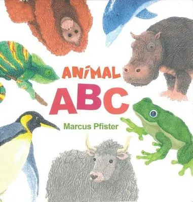 Zvieracia abeceda - Animal ABC
