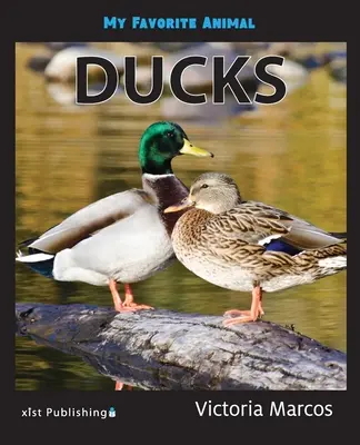 Moje obľúbené zviera: Kačice - My Favorite Animal: Ducks