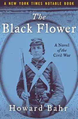 Čierny kvet: Román z občianskej vojny - The Black Flower: A Novel of the Civil War