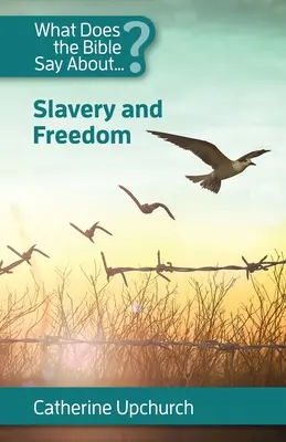 Čo hovorí Biblia o otroctve a slobode - What Does the Bible Say About Slavery and Freedom