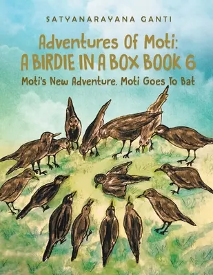 Motiho dobrodružstvá Vtáčik v škatuli Kniha 6: Motiho nové dobrodružstvo. Moti ide na pálku - Adventures Of Moti A Birdie In A Box Book 6: Moti's New Adventure. Moti Goes To Bat