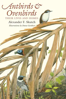 Vtáky mravce a vtáky pece: Ich život a domovy - Antbirds and Ovenbirds: Their Lives and Homes