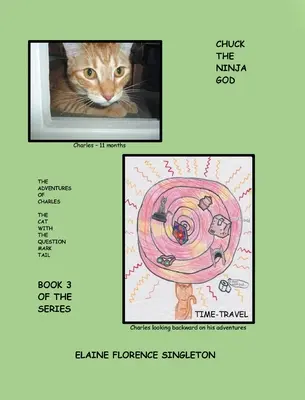 Chuck Ninja GOD: Dobrodružstvá kocúra Charlesa s otáznikom na chvoste - Chuck The Ninja GOD: The Adventures Of Charles The Cat With The Question Mark Tail