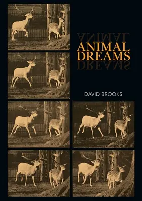 Zvieracie sny - Animal Dreams