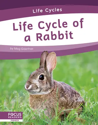 Životný cyklus králika - Life Cycle of a Rabbit