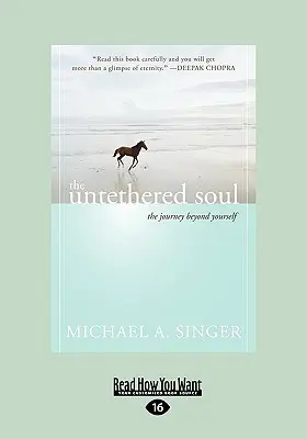 Odpútaná duša: Cesta za hranice seba samého - The Untethered Soul: The Journey Beyond Yourself