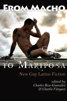 Od Macha po Mariposu: Nová latinskoamerická homosexuálna beletria - From Macho to Mariposa: New Gay Latino Fiction