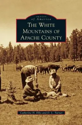 Biele hory okresu Apačov - White Mountains of Apache County