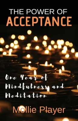 Sila prijatia: Jeden rok všímavosti a meditácie - The Power Of Acceptance: One Year Of Mindfulness And Meditation