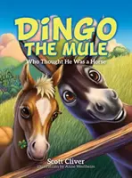 Dingo the Mule: Kto si myslel, že je kôň - Dingo the Mule: Who Thought He Was a Horse