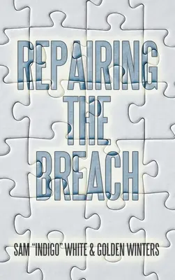 Náprava narušenia - Repairing the Breach